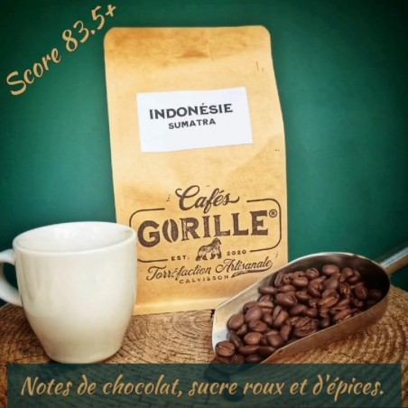 Café de spécialité d'Indonésie - Sumatra